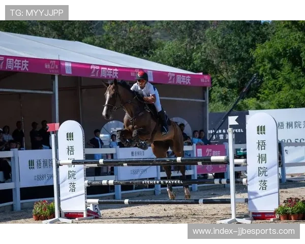 数字档案系统完善马匹管理 保障马术赛事专业水准 数字档案系统完善马匹管理 保障马术赛事专业水准